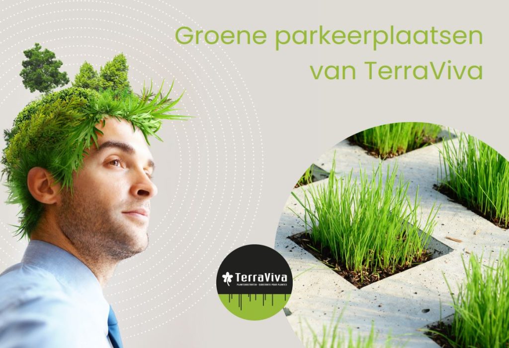 Groen parkeerplaatsen van TerraViva